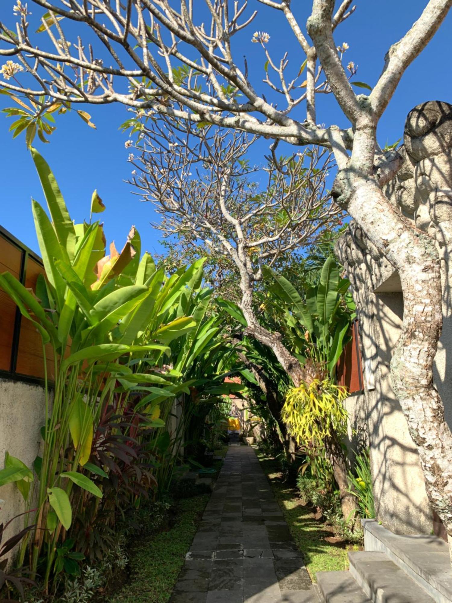 The Awan Villas - Chse Certified Seminyak Eksteriør bilde